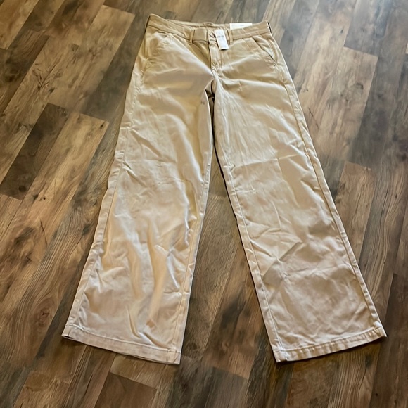 American Eagle Outfitters Pants - AE Skater Pant Sz 10L